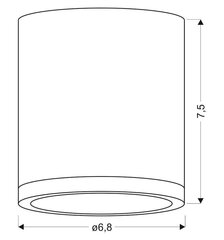 Laevalgusti Candellux 2273624 hind ja info | Laelambid | kaup24.ee