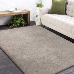 Libisemiskindel vaip Shaggy Latte 80x150 cm hind ja info | Vaibad | kaup24.ee