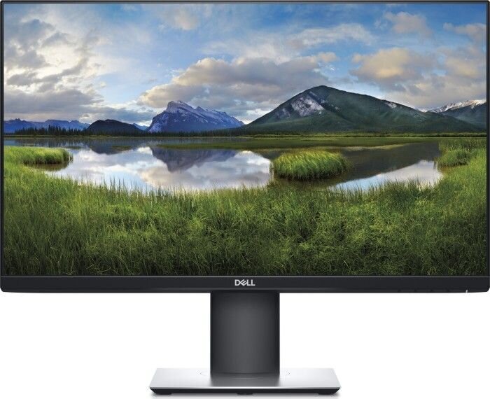 Dell P2421 hind ja info | Monitorid | kaup24.ee