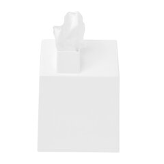 Umbra пластиковая коробка для платков, 17x13x13 см, белая цена и информация | Детали интерьера | kaup24.ee