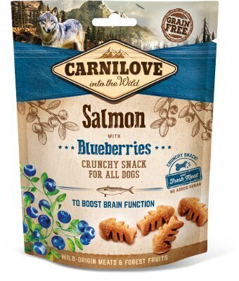 Carnilove Dog Snack Salmon & Blueberries maiused koerale 200g цена и информация | Maiustused koertele | kaup24.ee