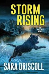 Storm Rising hind ja info | Lühijutud, novellid | kaup24.ee