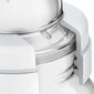 Lutipudel Philips Avent Classic, 260 ml hind ja info | Lutipudelid ja aksessuaarid | kaup24.ee