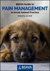 Bsava Guide To Pain Management In Small Animal Practice цена и информация | Энциклопедии, справочники | kaup24.ee