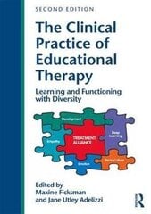 Clinical Practice Of Educational Therapy: Learning And Functioning With Diversity 2Nd New Edition цена и информация | Романы | kaup24.ee