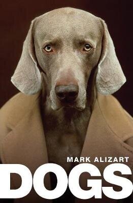 Dogs: A Philosophical Guide To Our Best Friends цена и информация | Entsüklopeediad, teatmeteosed | kaup24.ee