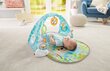 Muusikaline tegelustekk Fisher Price "Butterfly Dreams" hind ja info | Tegelustekid | kaup24.ee