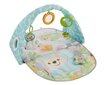 Muusikaline tegelustekk Fisher Price "Butterfly Dreams" hind ja info | Tegelustekid | kaup24.ee