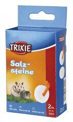 Sool närilistele Trixie, 2 tk. цена и информация | Корм для грызунов | kaup24.ee