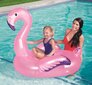 Täispuhutav Flamingo Bestway 122x99x105 cm цена и информация | Täispuhutavad veemänguasjad ja ujumistarbed | kaup24.ee