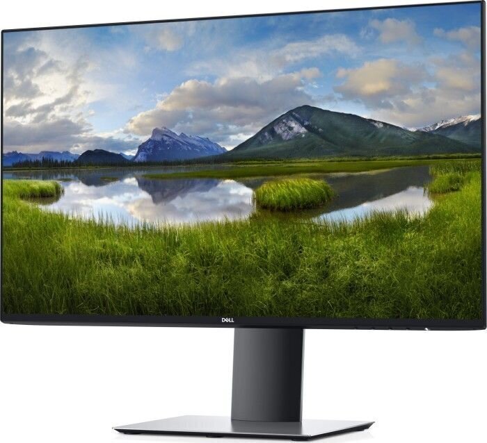 Dell U2421HE (210-AWLC) цена и информация | Monitorid | kaup24.ee