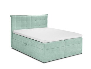 Voodi Mazzini Beds Echaveria 160x200 cm, heleroheline цена и информация | Кровати | kaup24.ee