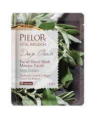 Pielor Vital Infusion Kangasmask Deep Clean 25ml цена и информация | Маски для лица, патчи для глаз | kaup24.ee