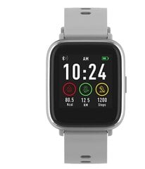 Denver SW-161 Grey цена и информация | Смарт-часы (smartwatch) | kaup24.ee