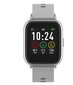 Denver SW-161,Grey цена и информация | Nutikellad (smartwatch) | kaup24.ee