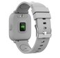 Denver SW-161,Grey hind ja info | Nutikellad (smartwatch) | kaup24.ee