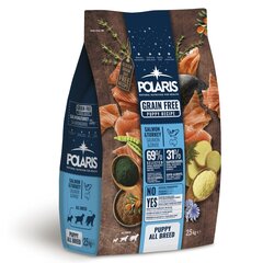 Polaris grainfree puppy salmon&amp;turkey  2,5kg цена и информация | Сухой корм для собак | kaup24.ee