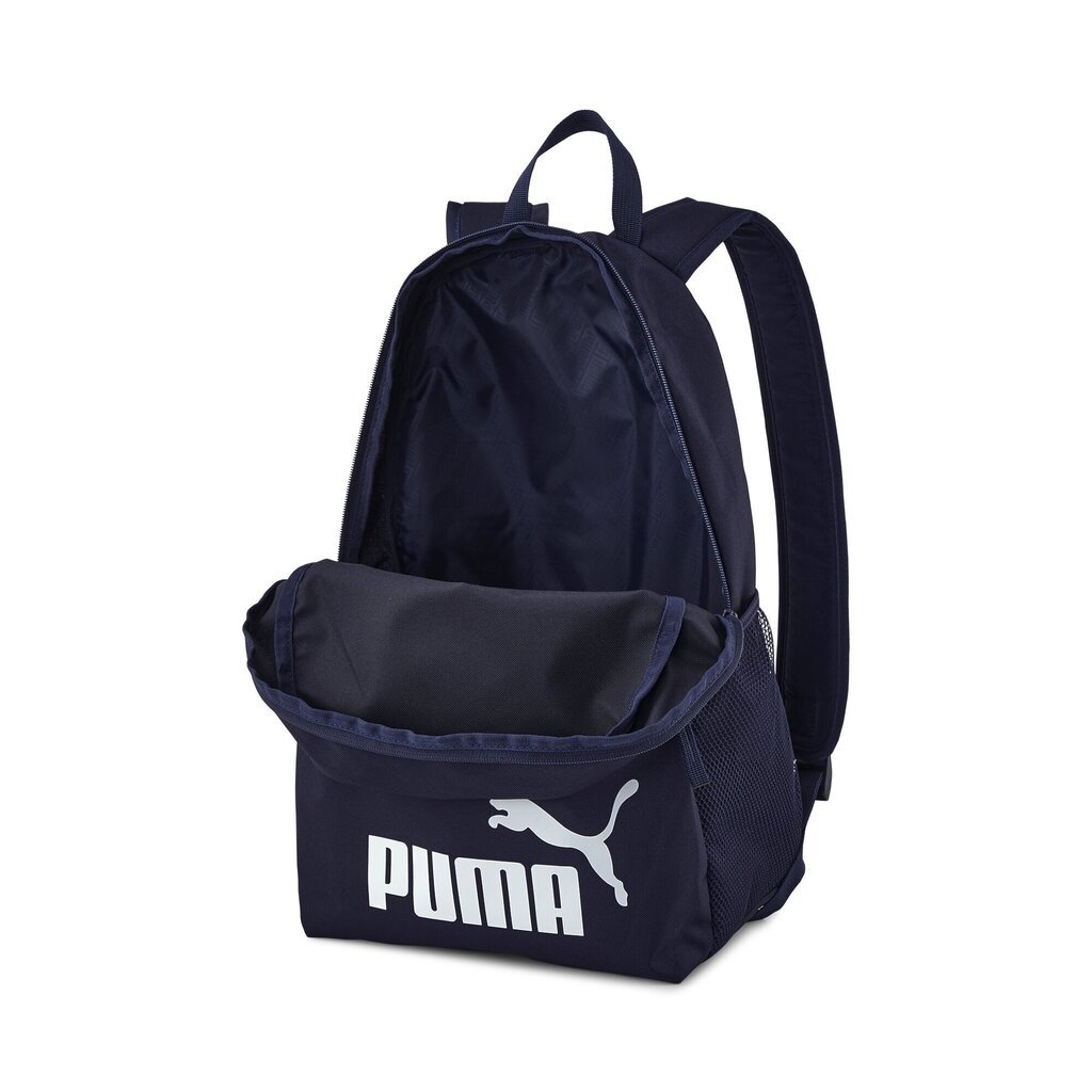 Seljakott Puma Phase, 22 l, sinine цена и информация | Spordikotid, seljakotid | kaup24.ee