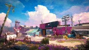 Far Cry New Dawn Superbloom Edition PS4 hind ja info | Arvutimängud, konsoolimängud | kaup24.ee