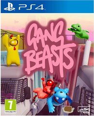 Gang Beasts PS4 цена и информация | Компьютерные игры | kaup24.ee