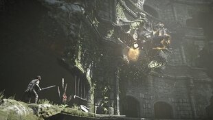 Shadow of the Colossus PS4 hind ja info | Sony Mängukonsoolid ja tarvikud | kaup24.ee