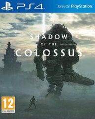 Shadow of the Colossus PS4 цена и информация | Компьютерные игры | kaup24.ee