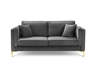 Двухместный бархатный диван Milo Casa Giuseppe, серый цена и информация | Диваны | kaup24.ee