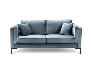 Двухместный бархатный диван Milo Casa Luis, светло-синий цена и информация | Диваны | kaup24.ee