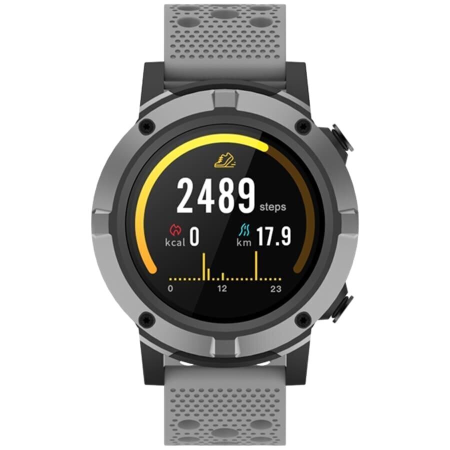 Denver SW-660 Grey hind ja info | Nutikellad (smartwatch) | kaup24.ee