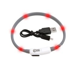 FLAMINGO KASSI LED KAELARIHM VISIO USB 20-35CM MUST hind ja info | Kaelarihmad ja traksid koertele | kaup24.ee