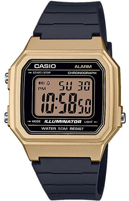 Casio Collection meeste käekell hind ja info | Meeste käekellad | kaup24.ee