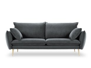 Четырехместный бархатный диван Milo Casa Elio, серый/золотистый цена и информация | Диваны | kaup24.ee