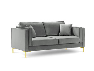 Двухместный бархатный диван Milo Casa Giuseppe, светло-серый цена и информация | Диваны | kaup24.ee