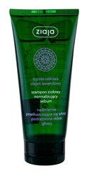 Шампунь для жирных волос Ziaja Herbal Lavender Oil 200 мл цена и информация | Шампуни | kaup24.ee