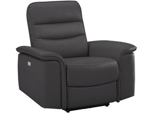 Кресло Notio Living Marshall, коричневое цена и информация | Кресла в гостиную | kaup24.ee