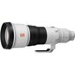 Sony FE 600mm F4 GM OSS | (SEL600F40GM) hind ja info | Objektiivid | kaup24.ee