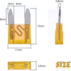 Mini Blade Fuse Pistikupesa vahemik 180,2a 3a 5a 7,5a 10a 15a 20a 25a 30a 35a 40a, 1 labakaitsme ja 1 hoiukarbiga цена и информация | Дополнительные принадлежности | kaup24.ee