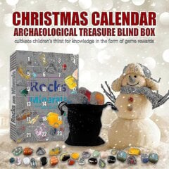 Jõulukingitus Advendikalender Advendikalender Rock Collection Blind Box Christmas Gift Gift 24 Rock（-) цена и информация | Искусственные елки | kaup24.ee