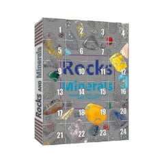 Jõulukingitus Advendikalender Advendikalender Rock Collection Blind Box Christmas Gift Gift 24 Rock（-) цена и информация | Искусственные елки | kaup24.ee