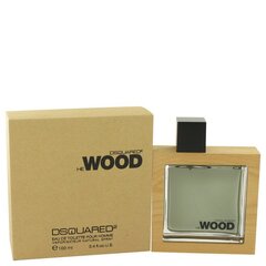 Tualettvesi Dsquared² He Wood EDT meestele 100 ml hind ja info | Dsquared2 Kosmeetika, parfüümid | kaup24.ee