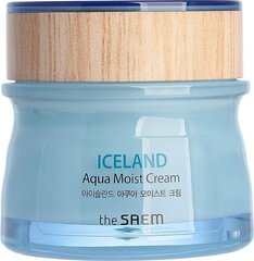 Увлажняющий крем с исландской водой The Saem 60 мл цена и информация | Кремы для лица | kaup24.ee