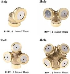 Messingist uduotsik, 1/4" G (12,5 mm) sisekeermega, kastmisudu düüsid, niisutuspistik (3 auku) hind ja info | Vannitoa sisustuselemendid ja aksessuaarid | kaup24.ee