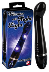 Valgustav vibraator You2Toys Vibrator Night Light hind ja info | Vibraatorid | kaup24.ee