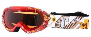 Горнолыжные очки  Akiniai Worker Doyle  цена и информация | Suusaprillid | kaup24.ee