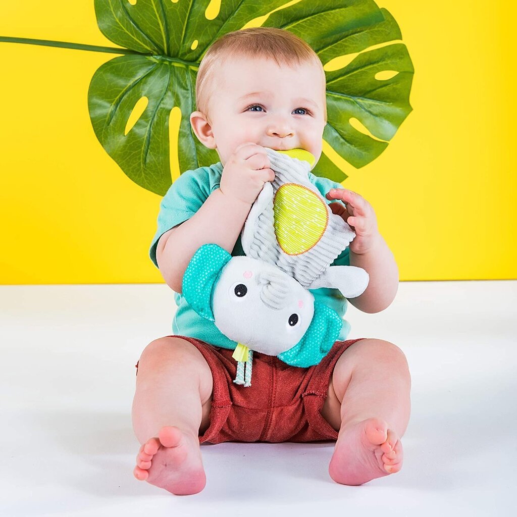 Pehme mänguasi närimisleluga Bright Starts, 8916 hind ja info | Imikute mänguasjad | kaup24.ee