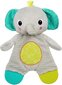 Pehme mänguasi närimisleluga Bright Starts, 8916 цена и информация | Imikute mänguasjad | kaup24.ee