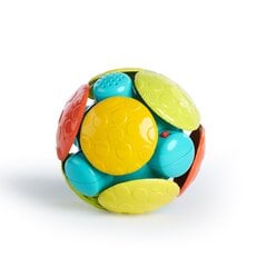 Мяч со звуками Bright Starts Wobble Bobble Refresh, 12212 цена и информация | Игрушки для малышей | kaup24.ee