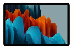 Samsung Galaxy Tab S7 (T875) 4G, черный цена и информация | Планшеты | kaup24.ee