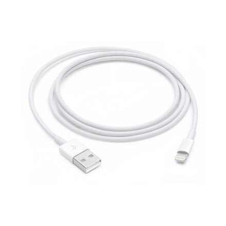 Apple MXLY2ZM/A, Lightning - USB, 1m