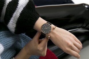 Часы Emily Westwood EBN-3318 цена и информация | Женские часы | kaup24.ee